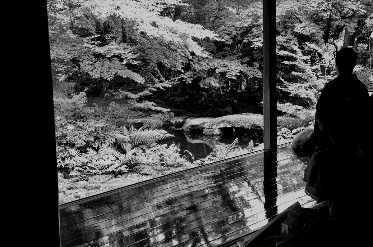 © Hans Jörg Bachmann